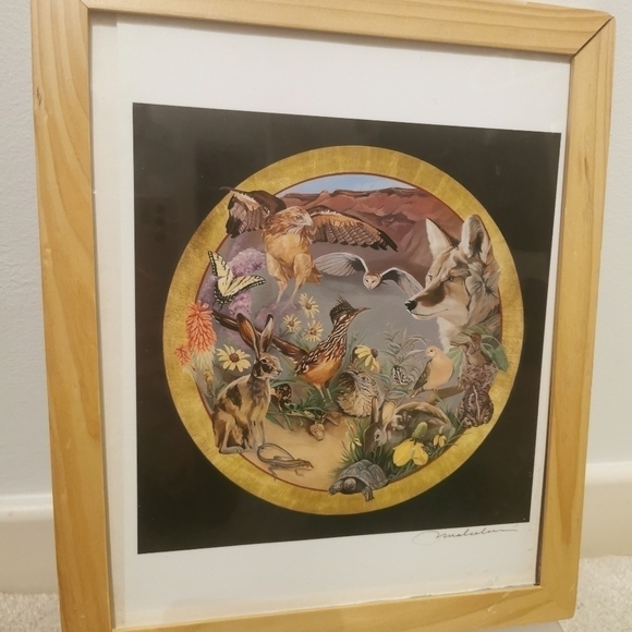 PAT Malcolm new Mexico wildlife - Picture 2 of 5